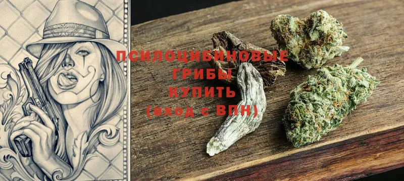 купить наркотики сайты  Сорочинск  Псилоцибиновые грибы MAGIC MUSHROOMS 