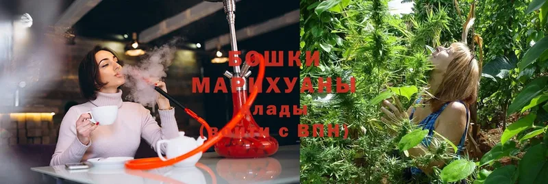 Бошки марихуана план  продажа наркотиков  Сорочинск 